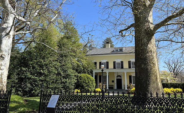 This is a photo of the yellow Maclean house on Princeton's campus, with two large sycamore trees and a wrought iron fence in front.