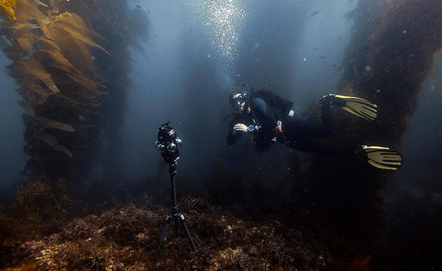 Mark Davidson *08 scuba diving and filming using the Insta360 Pro 2 and Mantis Sub underwater housing.