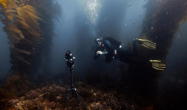 Inside a Dome, Mark Davidson *08’s Film Immerses Viewers in the Ocean 