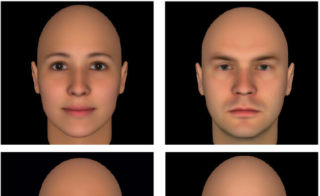 Todorov has found that faces with more feminine features (top left) are perceived as more trustworthy, while faces seen as untrustworthy tend to have more masculine features (top right). Faces with more mature features (bottom left) are perceived as more