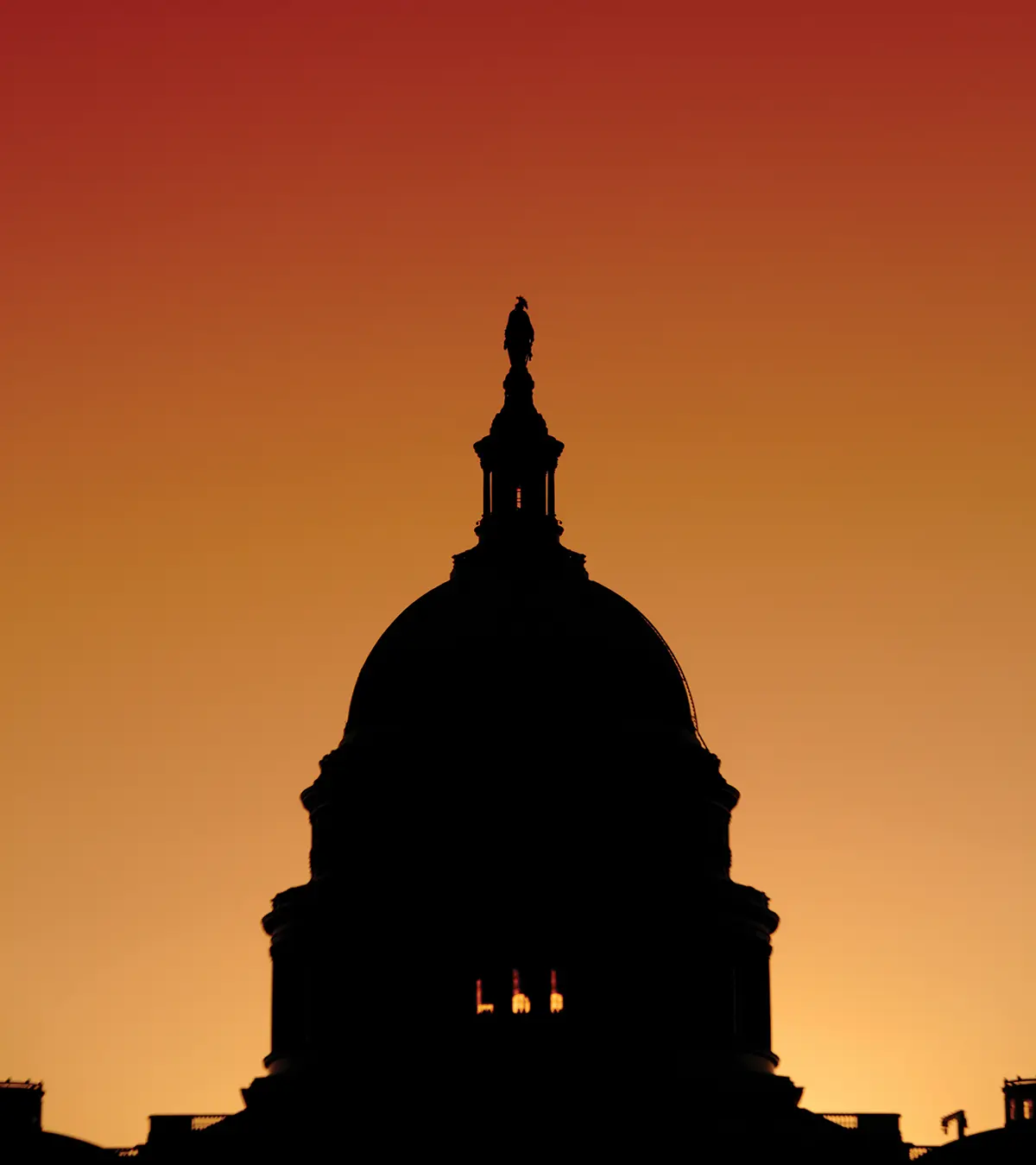 Shedding Light Shedding Light