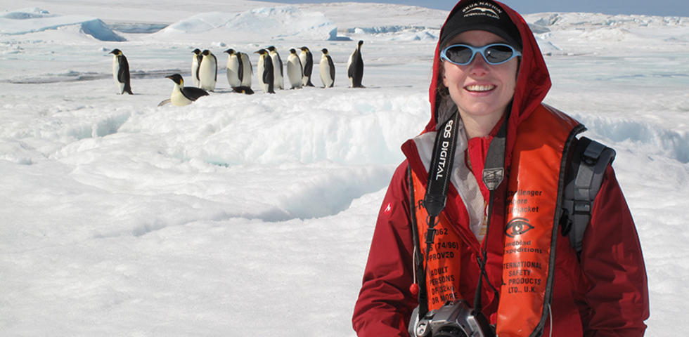 Heather Lynch ’00 Uses Satellites to Study Penguins and Climate Change