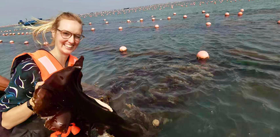 Helen Park ’18 Launches ‘Kelp Pasta’ With Small Carbon Footprint