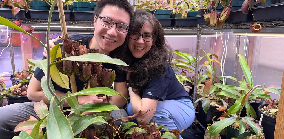 Kevin Zhang ’16’s Carnivorous Plant Society Holds Its First Show Kevin Zhang ’16’s Carnivorous Plant Society Holds Its First Show