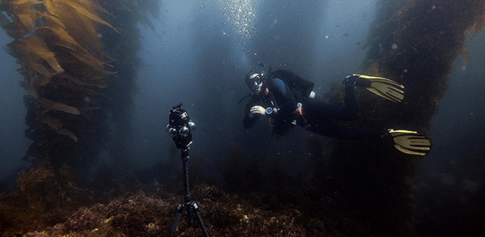 Inside a Dome, Mark Davidson *08’s Film Immerses Viewers in the Ocean 