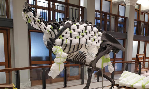 A New Home — and Pose — For Guyot’s Allosaurus