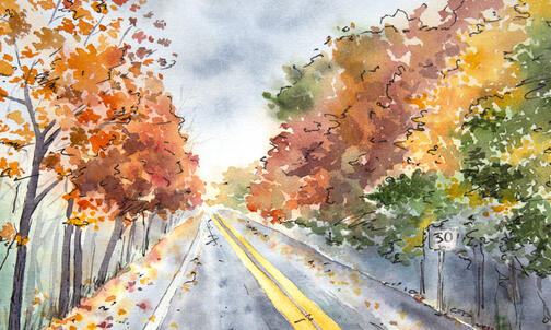 What Letting Go Sounds Like to a Soon-to-be Empty Nester