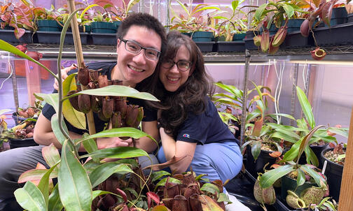Kevin Zhang ’16’s Carnivorous Plant Society Holds Its First Show