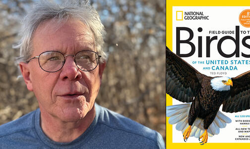 Ted Floyd ’90 Recommends Three Books on Birding and Nature Study