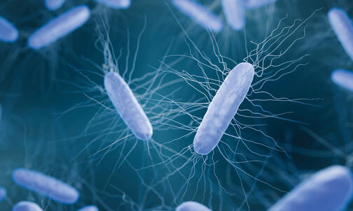 C. Diff Bacteria Can Weaken the Sick, But a Princeton Chemist Found a Fix