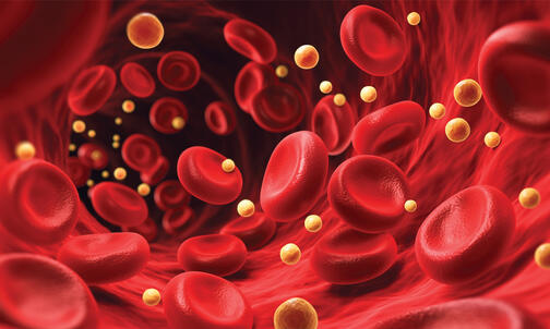 Princetonians Weigh In on New Cholesterol Testing Guidelines