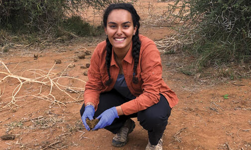 Dung Beetles Do ‘the Job That Is Necessary’