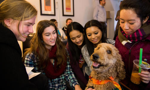 Princeton Bolsters Mental Health Care for Students