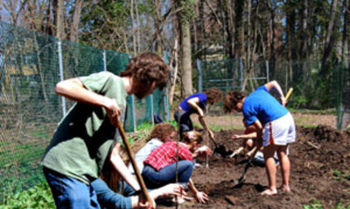 Q&A with Garden Project leader Colleen McCullough '12