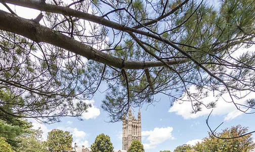 Campus Photo: Carillon Concert