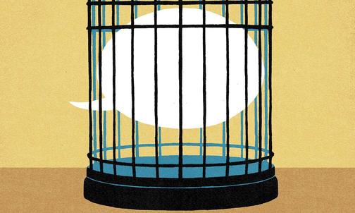 The University, Social Justice, and Free Inquiry