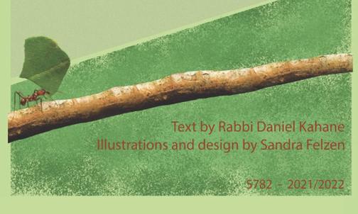 Immersion in Torah and Art: A Weekly Calendar