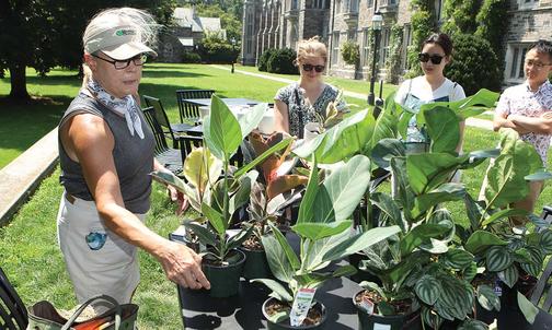 Graduate Students Grow Interest in Pandemic Plants