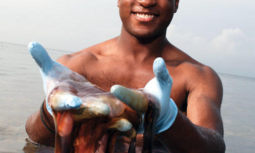 A jellyfish engineer