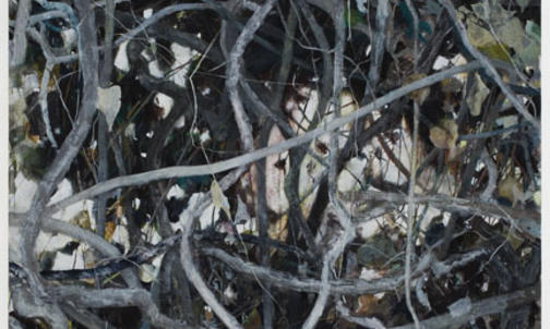 Tangled Vines