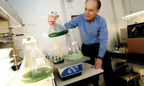 From green algae to green fuel