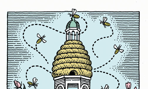 Bee Team creates buzz; a decade of dialogue