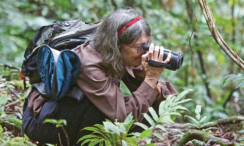 Tropical Ecologist Winnie Hallwachs ’76 Is Tracking Insect Decline