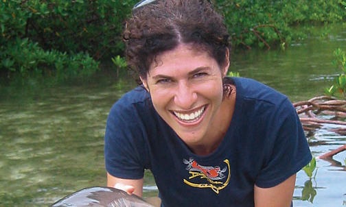 Swimming with sharks