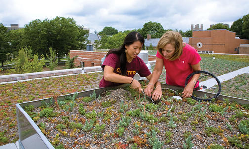 Can the University meet its environmental goals?