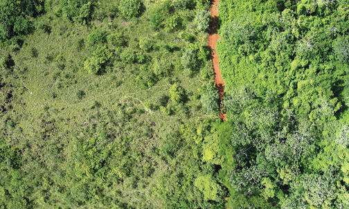 Ecology and Evolutionary Biology: Greener Shade of Orange 
