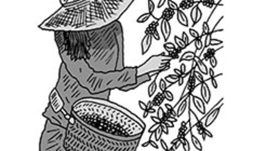 In Short: A Friendly Microbe, Hostile Neighbors, and More