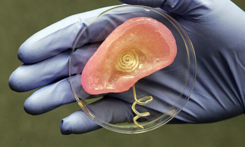 Listen up: Research team uses 3-D printer to create bionic ear