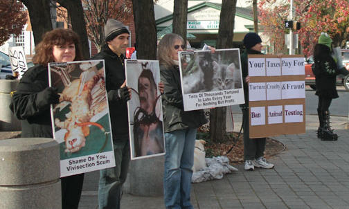 Animal care under scrutiny by USDA, activist groups