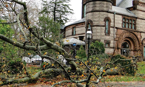 Sandy fells trees, cuts power to grad housing