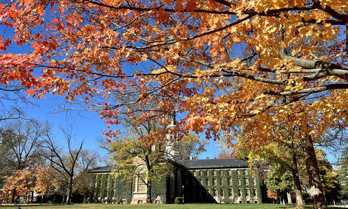 Princeton’s Endowment Investments Fall 1.5 Percent As U.S. Market Falters