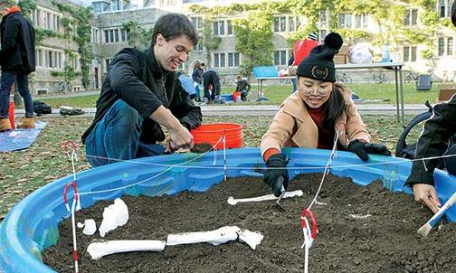 Freshman Seminar: ‘A Story Behind Every Bone’