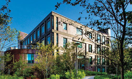 On the Campus