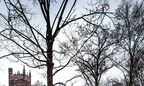 On the Campus