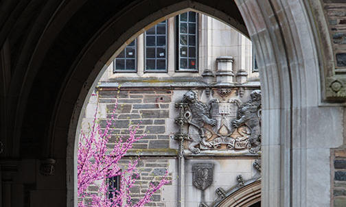 On the Campus