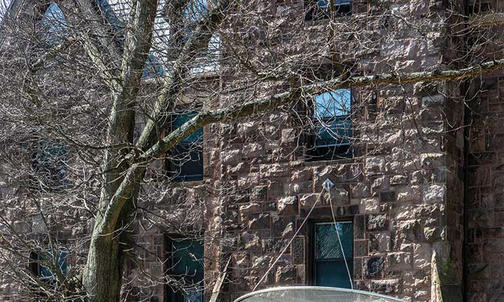 On the Campus: A Skateboarder on Elm Drive