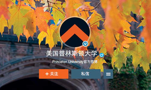 A Social-Media Presence in China
