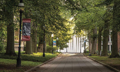 On the Campus: McCosh Walk