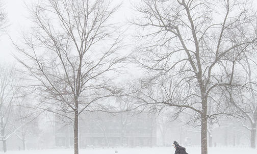 On the Campus: February Snow