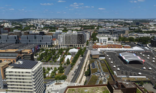 For the 25 Tiger Olympians in Star-Studded Paris, the Games Begin