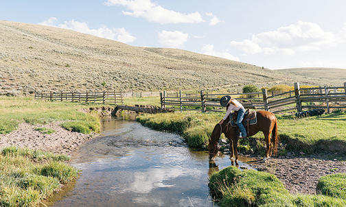 Caroline Nelson ’14 Is a Rancher With an Unconventional Model