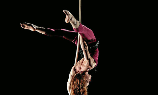 Princetonians: Flying High