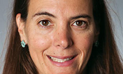 Examining Private Prisons