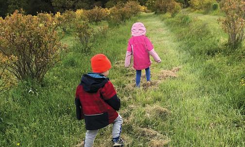 Essay: Leaving Manhattan For Blueberry Country