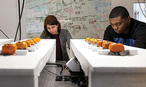 Princeton Engineers Use Wireless Signals to Pinpoint Fruit Ripening