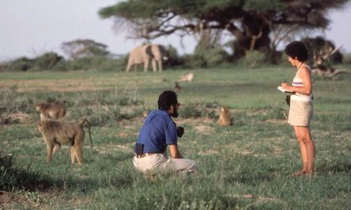Curriculum Vitae: Jeanne Altmann’s ‘Twisty’ Path to Baboon Research